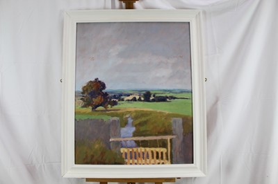 Lot 62 - David Britton , contemporary, oil on board - Teesdale Sluice Gate, framed, 80cm x 65cm