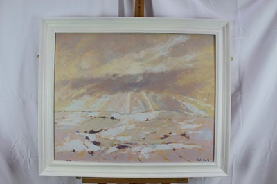 Lot 96 - David Britton , contemporary, oil on board - Snow Near Sheffield, signed, framed, 60cm x 75cm
