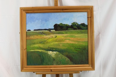 Lot 1071 - David Britton , contemporary, oil on board - Barley Field Near Saxmundham, signed, framed 60cm x 69cm