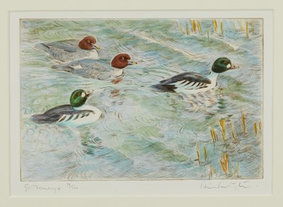 Lot 1149 - Peter Partington , contemporary, Signed limited edition etching - Goldeneye Ducks, 38/100, in glazed frame, 21cm x 30cm