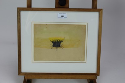 Lot 891 - *Mary Newcomb (1922-2006) watercolour and pencil Dandelion