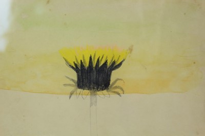 Lot 891 - *Mary Newcomb (1922-2006) watercolour and pencil Dandelion