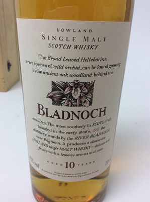 Lot 2 - Whisky - one bottle, Bladnoch 10 Years Old