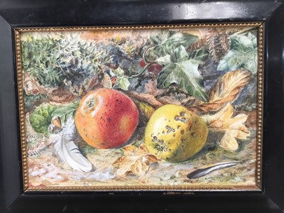 Lot 64 - Frederick Albert Slocombe (1847-1920) watercolour - still life of apples and butterflies among foliage, signed, framed, 17cm x 25cm