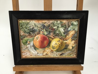 Lot 64 - Frederick Albert Slocombe (1847-1920) watercolour - still life of apples and butterflies among foliage, signed, framed, 17cm x 25cm