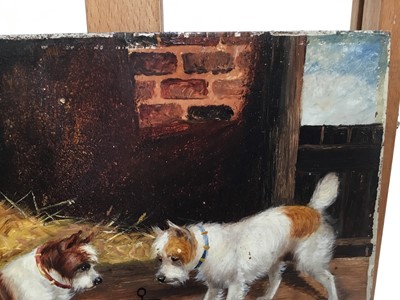 Lot 109 - Attributed to Edward Armfield (1817-1896) oil on artists board - terriers at a rat in a trap, unframed, 22cm x 28cm