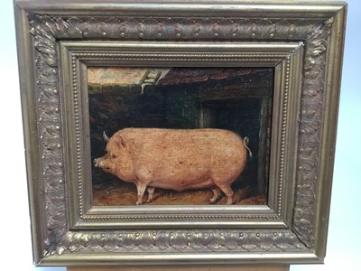 Lot 121 - J. Box, oil on canvas laid on board - a prize pig, in gilt frame, 19cm x 24cm