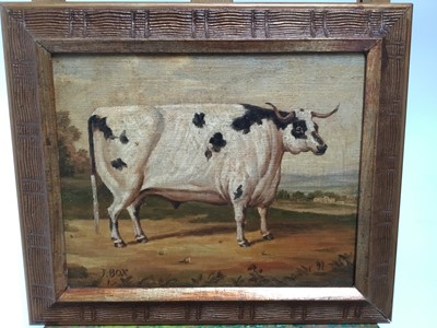 Lot 122 - J. Box, oil on canvas laid on board - a prize horned bull, in gilt frame, 20cm x 25cm