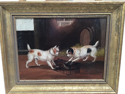 Lot 124 - Attributed to Edward Armfield (1817-1896) oil on board - terriers at a rat in a trap, indistinctly initialled, in gilt frame, 21cm x 29cm