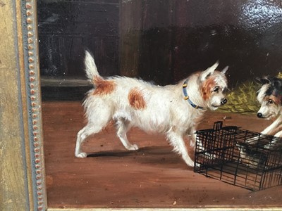 Lot 124 - Attributed to Edward Armfield (1817-1896) oil on board - terriers at a rat in a trap, indistinctly initialled, in gilt frame, 21cm x 29cm