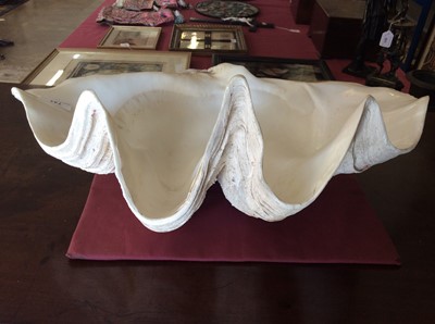 Lot 744 - Giant clam shell