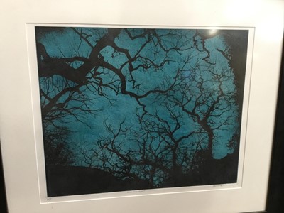 Lot 123 - Etching - trees at night