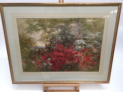 Lot 39 - Parsons Norman (1866-1945) watercolour, poppies, signed, 35 x 51cm