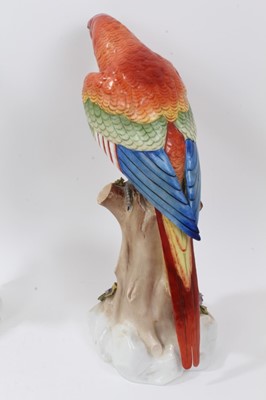 Lot 65 - Pair continental porcelain parrots