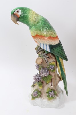 Lot 65 - Pair continental porcelain parrots
