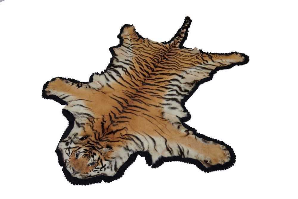 Rust Tiger Rug Skin Lot 958 - Tiger skin rug