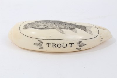 Lot 677 - Antique scrimshaw whale tooth 'trout