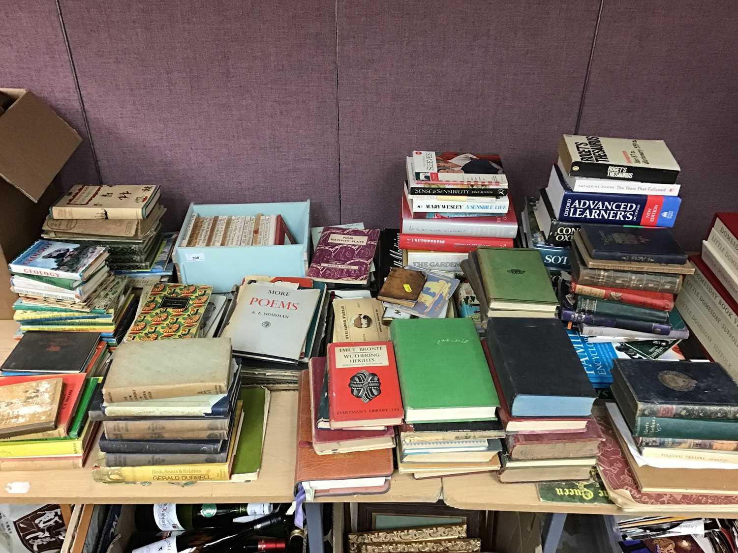Collection Book Lot 390 - Collection of books