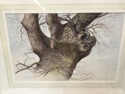 Lot 399 - Mary Clare Critchley-Salmonson (b.1947) watercolour - Grey Squirrel and an Owl in an Oak Tress, signed, in glazed gilt frame, 29cm x 44cm