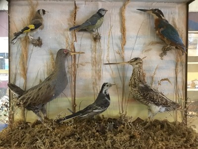 Lot 189 - Two taxidermy bird groups