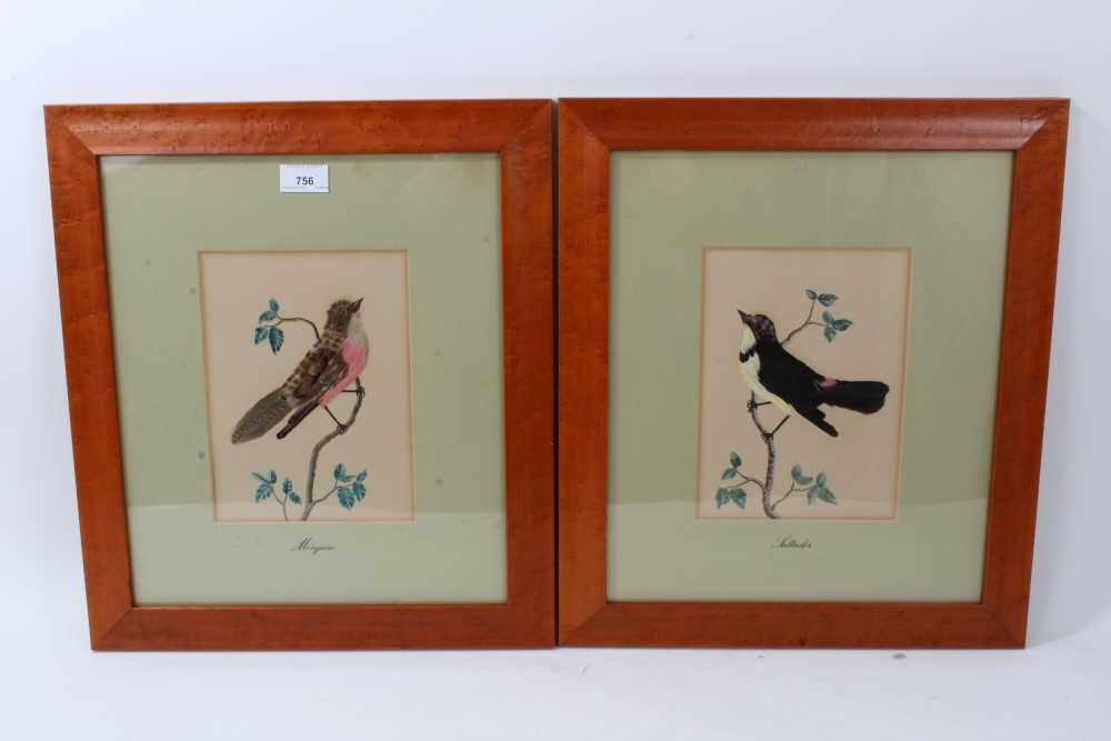 Lot 264 - Pair of 19th century style feather bird pictures