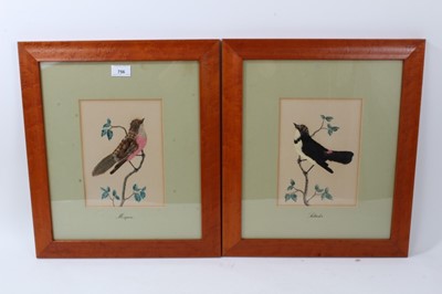 Lot 264 - Pair of 19th century style feather bird pictures