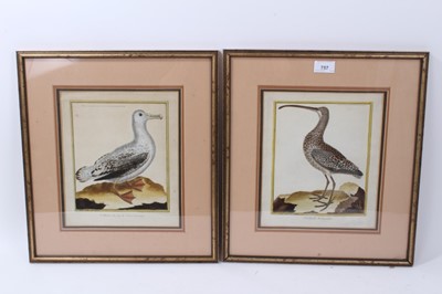 Lot 757 - Francois Martinet - Two 18th century century bird engravings