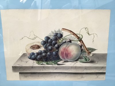 Lot 94 - 19th century watercolour of fruit