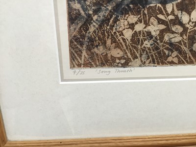 Lot 3 - Signed limited edition Richard Bowden etching - 'Song Thrush' 4/25
