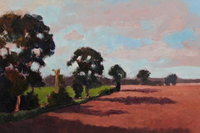 Lot 978 - David Britton, contemporary, oil on board - Suffolk Landscape with Long Shadows, signed, framed, 48cm x 69cm