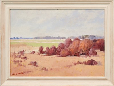 Lot 979 - David Britton, contemporary, oil on canvas - Aldeburgh Marshes, signed, framed, 49cm x 70cm