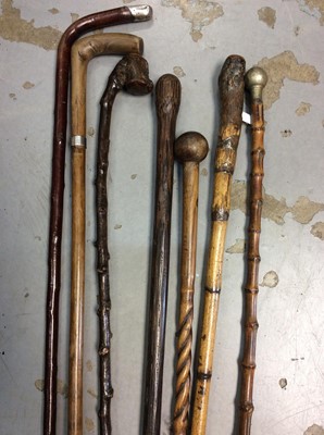 Lot 446 - Group of various walking canes