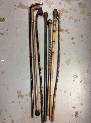 Lot 446 - Group of various walking canes