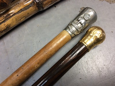 Lot 446 - Group of various walking canes