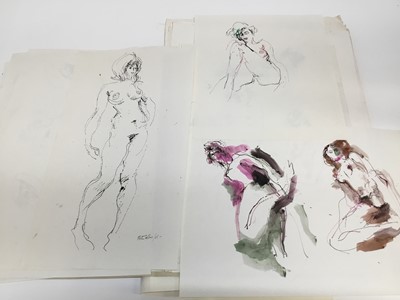 Lot 140 - Folder of female nudes - themed as 'Chelsea Birds' (approx 57) together with folder of female nudes from the 1960s by Peter Collins (1923-2001), approx 37