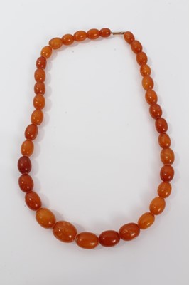 Lot 495 - Amber necklace