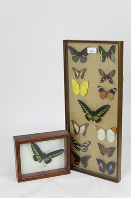 Lot 881 - Selection butterflies in glazed case and Rajah Brooke’s Birdwing, Malaysia butterfly in glazed case