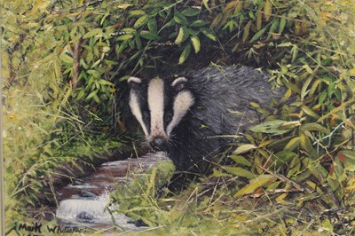 Lot 948 - Mark Whittaker (b.1964) acrylic on board - a badger beside a stream, 29cm x 39cm, together with a companion of a fox cub, 28.5cm x 38.5cm, both dined, in gilt frames