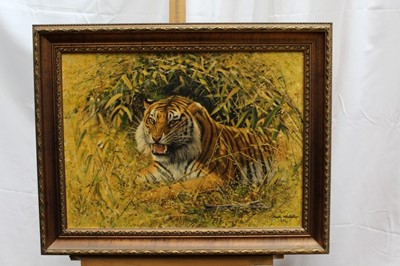 Lot 947 - Mark Whittaker (b.1964) acrylic on board - a tiger, signed and dated '97, in gilt frame, 45cm x 60cm