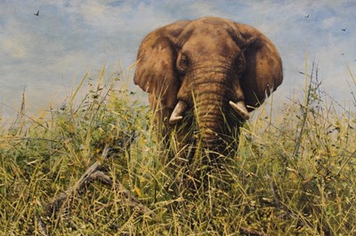 Lot 946 - Mark Whittaker (b.1964) acrylic on board - an elephant, signed and dated '97, in gilt frame, 45cm x 60cm