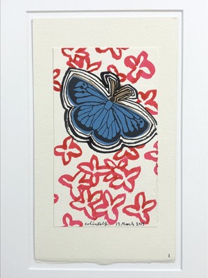 Lot 1104 - Colin Self (b. 1941) watercolour - Butterfly, signed and dated 12 March 2013