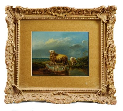 Lot 1154 - 19th century oil - Sheep