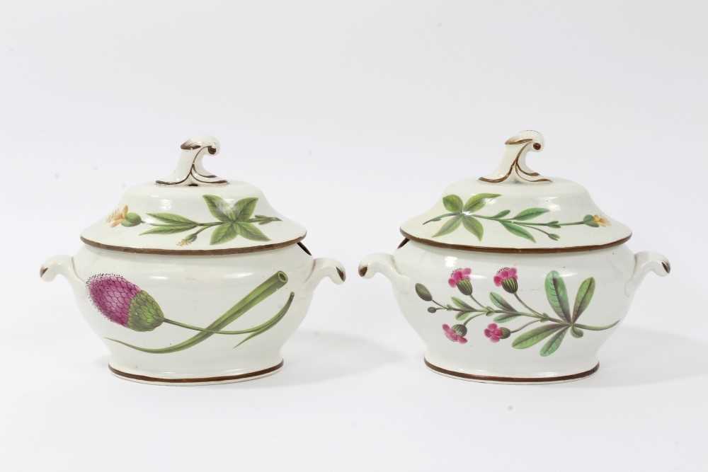 Lot 166 - A pair of pearlware botanical sauce tureens, probably Swansea, circa 1810