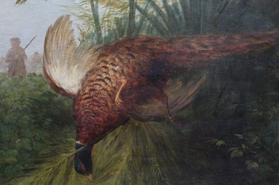 Lot 1025 - English School 19 th Century, oil on canvas – A downed pheasant, monogrammed CWS, in gilt frame, 35cm x 45cm