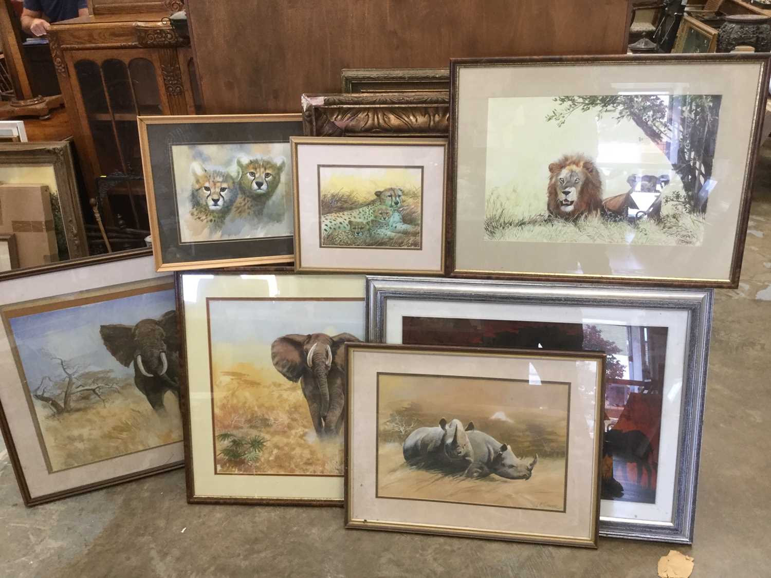 Lot 188 - Charles Clifford Turner 'Taff', group of seven watercolour studies of exotic animals after David Shepherd  (7)