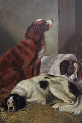 Lot 1074 - English School late 19th Century, oil on artist board – Three retriever dogs in a stable, 44cm x 35cm