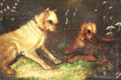 Lot 1077 - Manner of George Armfield f.l. (1840-1875) oil on canvas – Terriers at a rabbits burrow, in gilt frame, 19cm x 24cm