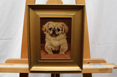 Lot 1043 - Gustave Lorincz (1855-1931) oil on panel - A Pekinese Dog, signed