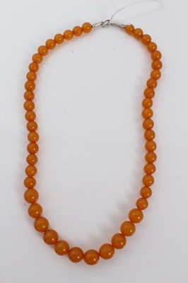 Lot 497 - Amber bead necklace with a string of graduated spherical beads measuring approximately 10mm to 8mm diameter, length approximately 41cm