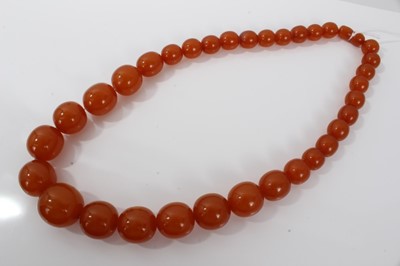 Lot 498 - Large reconstituted amber bead necklace with a string of graduated reconstituted amber spherical beads measuring approximately 28mm to 14.5mm diameter. Length approximately 65.5cm